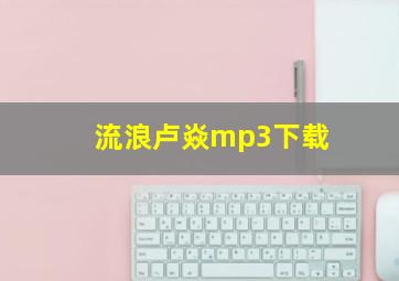 流浪卢焱mp3下载