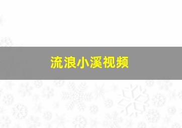 流浪小溪视频