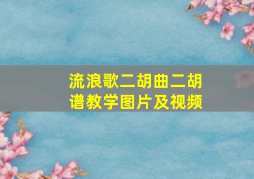 流浪歌二胡曲二胡谱教学图片及视频