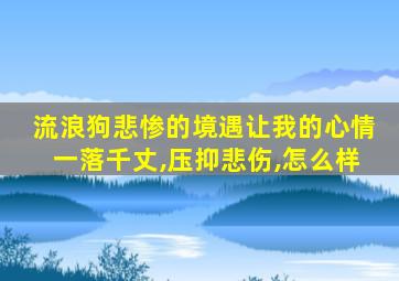 流浪狗悲惨的境遇让我的心情一落千丈,压抑悲伤,怎么样