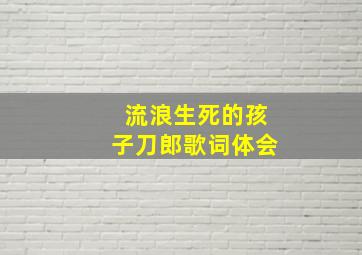 流浪生死的孩子刀郎歌词体会