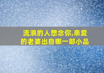 流浪的人想念你,亲爱的老婆出自哪一部小品