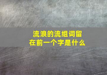 流浪的流组词留在前一个字是什么