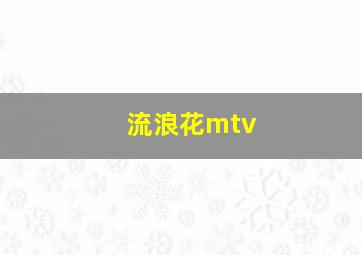 流浪花mtv