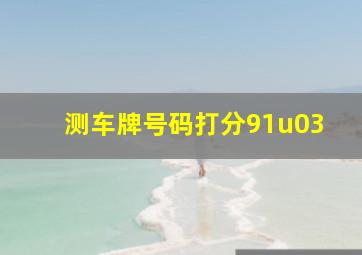 测车牌号码打分91u03