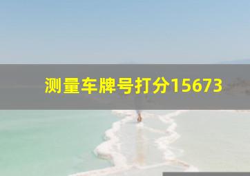 测量车牌号打分15673