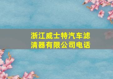 浙江威士特汽车滤清器有限公司电话