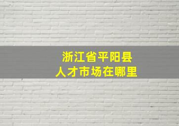 浙江省平阳县人才市场在哪里