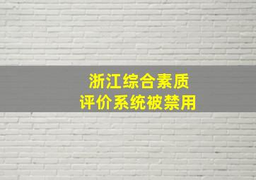 浙江综合素质评价系统被禁用