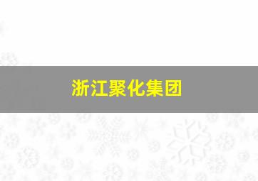 浙江聚化集团