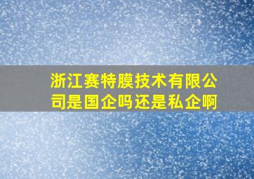 浙江赛特膜技术有限公司是国企吗还是私企啊