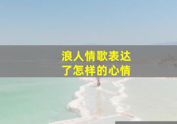 浪人情歌表达了怎样的心情