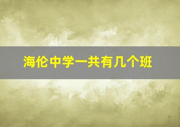 海伦中学一共有几个班