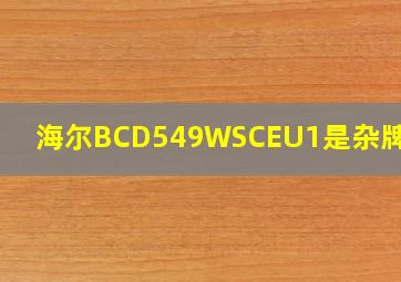 海尔BCD549WSCEU1是杂牌子吗