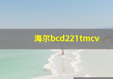 海尔bcd221tmcv