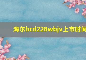 海尔bcd228wbjv上市时间