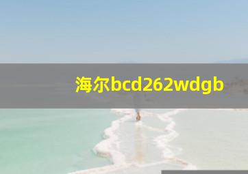 海尔bcd262wdgb