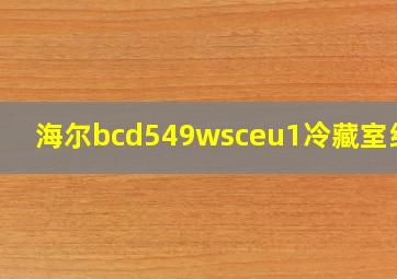 海尔bcd549wsceu1冷藏室结冰