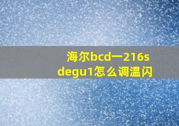 海尔bcd一216sdegu1怎么调温闪