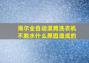 海尔全自动滚筒洗衣机不脱水什么原因造成的