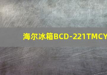 海尔冰箱BCD-221TMCY