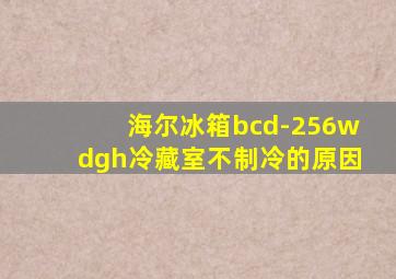 海尔冰箱bcd-256wdgh冷藏室不制冷的原因