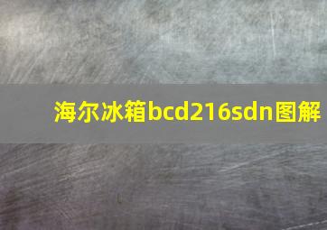 海尔冰箱bcd216sdn图解