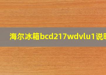 海尔冰箱bcd217wdvlu1说明书