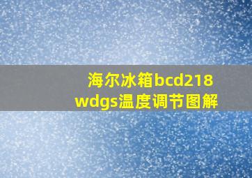 海尔冰箱bcd218wdgs温度调节图解