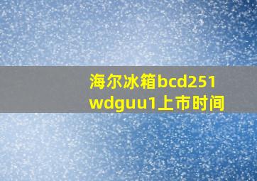 海尔冰箱bcd251wdguu1上市时间