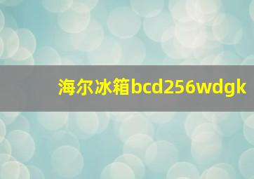 海尔冰箱bcd256wdgk