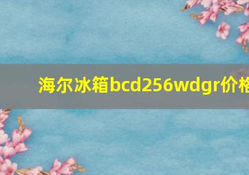 海尔冰箱bcd256wdgr价格