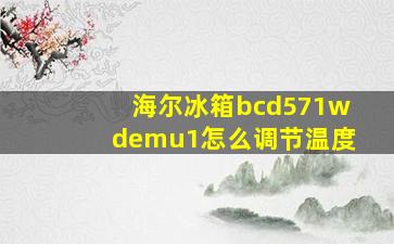 海尔冰箱bcd571wdemu1怎么调节温度