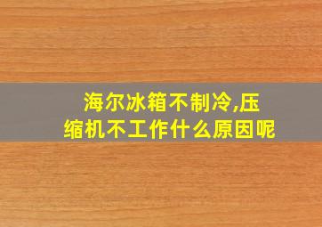 海尔冰箱不制冷,压缩机不工作什么原因呢