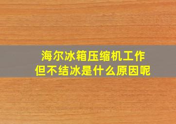 海尔冰箱压缩机工作但不结冰是什么原因呢