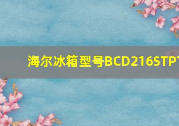 海尔冰箱型号BCD216STPT