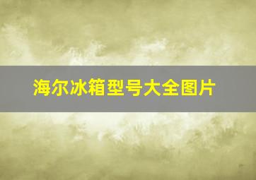 海尔冰箱型号大全图片