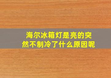 海尔冰箱灯是亮的突然不制冷了什么原因呢