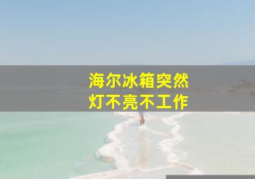 海尔冰箱突然灯不亮不工作