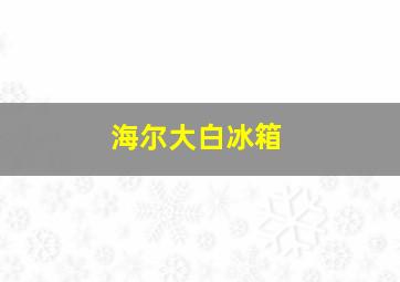 海尔大白冰箱