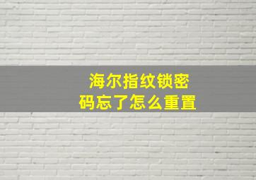 海尔指纹锁密码忘了怎么重置