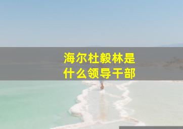 海尔杜毅林是什么领导干部