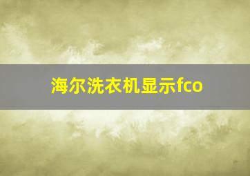 海尔洗衣机显示fco