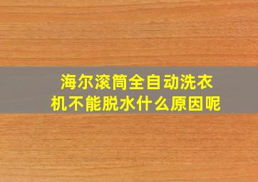 海尔滚筒全自动洗衣机不能脱水什么原因呢