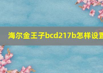 海尔金王子bcd217b怎样设置