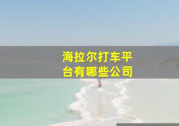 海拉尔打车平台有哪些公司