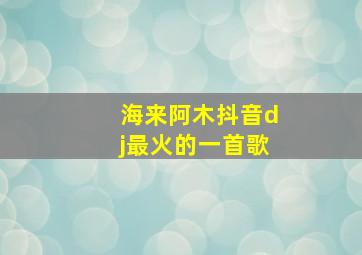 海来阿木抖音dj最火的一首歌