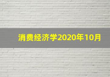 消费经济学2020年10月