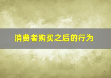 消费者购买之后的行为