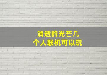 消逝的光芒几个人联机可以玩